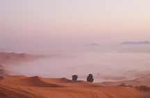 Dubai Sunrise Red Dunes Safari-( Private Tour ) 