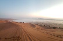 Morning Red Dune Desert Safari in Dubai with Camel Ride and Sand Boarding