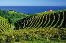 San Juan de Gaztelugatxe with Winery Visit and Lunch (From Bilbao)