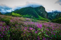Valley of Flowers and Hemkund Trek- Banbanjara