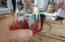 Villages and wine tasting around the Pic Saint Loup