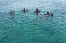 Scuba Diver Course