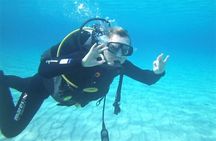 Scuba Diver Course