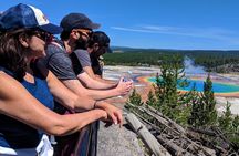 Lower Loop Van Tour from West Yellowstone: Grand Prismatic and Old Faithful