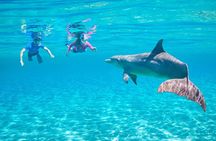 Private Boat to Dolphin House Full day Snorkeling Sea Trip Max 10 Pax - Hurghada