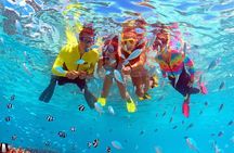 Eco Snokeling in Piti Bay Marine