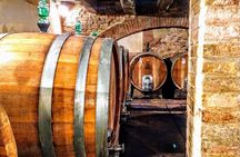 Montalcino: Brunello Wine Tasting & Lunch in a Tuscan Castle
