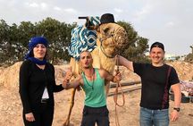 Dromedary Safari: 2 hours