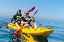 Paddle with the Penguins