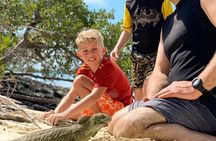Mangrove & iguana Tour