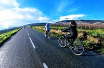Discovery by bike & Tasting in the vineyards