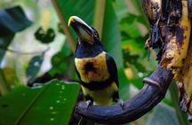 Mindo Cloud Forest & Middle of the World Tour from Quito
