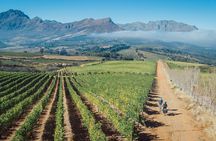 Franschhoek Sip & Cycle Experience Full Day - Private Tour
