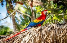 Tortuga Island Adventure – White Sand Paradise Day Trip