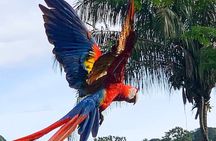 Tortuga Island Adventure – White Sand Paradise Day Trip