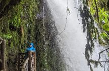 Poas Volcano and La Paz Waterfall Gardens Private Tour