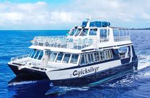 From Maalaea: Whale Watching Tour Aboard the Quicksilver