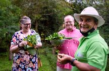 Private cooking class in organic farm at La Fortuna