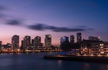 Rotterdam Like a Local: Customized Private Tour