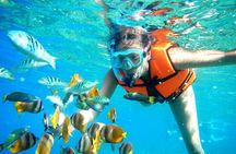 Half-Day Puerto Morelos Snorkeling Experience with Lunch