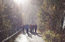 Bergen Private Walking Tour with a Local