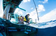 Eco Snokeling in Piti Bay Marine