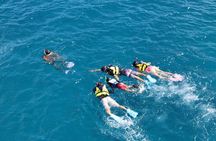 Eco Snokeling in Piti Bay Marine
