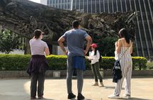 5-Day Spanish Immersion Package-OLSA ESTADIO III