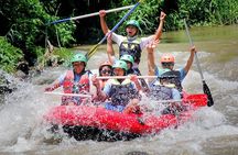 Private White Water Rafting Ubud with Bali Swing Including Hotel pick up