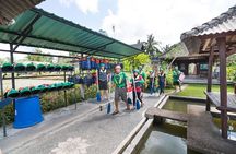 Ayung River White Water Rafting Ubud
