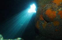 Diving guided by the Diving Center (with full equipment)