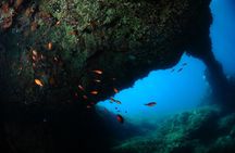 Diving guided by the Diving Center (with full equipment)