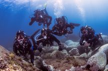 Diving guided by the Diving Center (with full equipment)