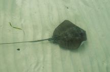 Isla Contoy Private Day Tour, from Cancun