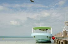 Isla Contoy Private Day Tour, from Cancun