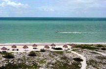 Tour to Celestun and see the flamingos