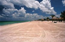 Tour to Celestun and see the flamingos