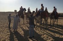 Great Pyramids half day tour from Cairo