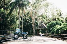 Tropical Fruit World Farm Full Tour 