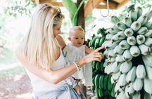 Tropical Fruit World Farm Full Tour 