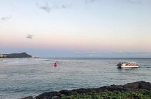 Sea Safari, Dolphins, Turtles and Waikiki Cruise