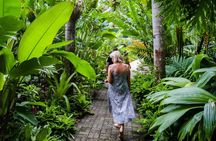 Cairns City Sights and Surrounds Tour
