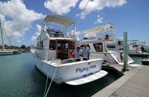 Dolphin Watching Cruise with Underwater Observatory Viewing
