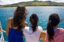 Dolphin Watching Cruise with Underwater Observatory Viewing