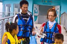 Snorkeling and Dolphin Watching with Lunch Package