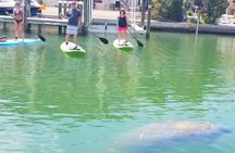 Siesta Key Kayak Tour 