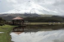 Cotopaxi Volcano and Colonial Hacienda Day Trip