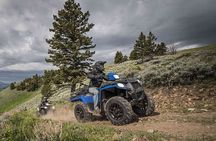 Quad Bike Safari in the Wilderness (ATV)