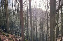 Private Guided Hike: King Arthur's Wye Valley Wander