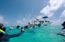 Full-Day Reef Snorkeling in Cozumel from Cancun with Lunch